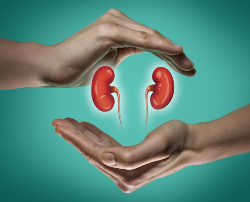 Human kidneys between two palms of a woman on blue and green background. The concept of a healthy liver.