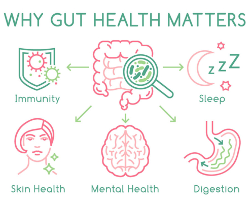 graphic of why gut health matters