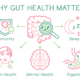 graphic of why gut health matters